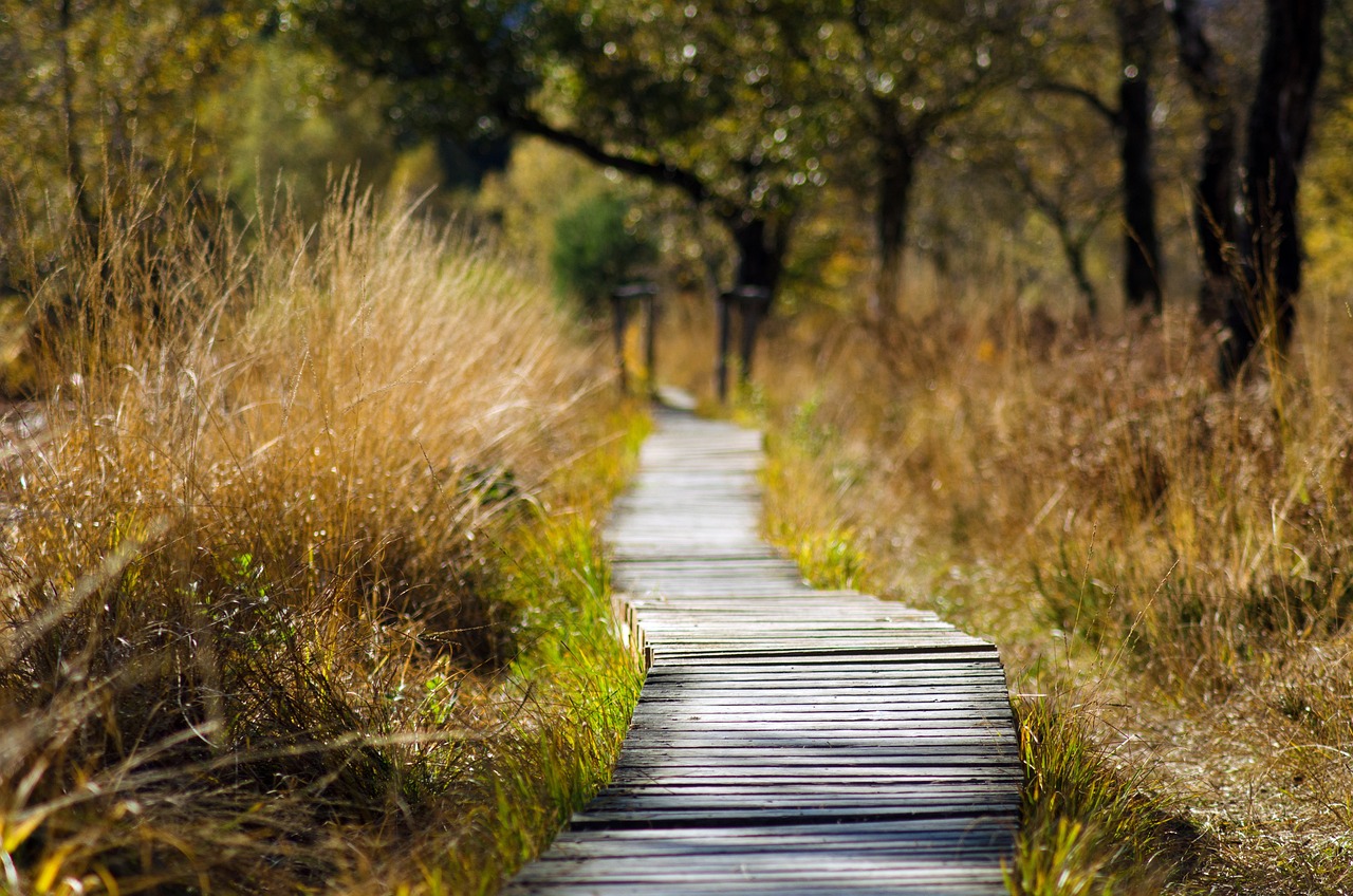 The Most Scenic Hikes in the USA’s National Parks